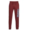 vente pas cher Champion HEAVY COTTON POLY FLEECE Couleur Bordeaux 17