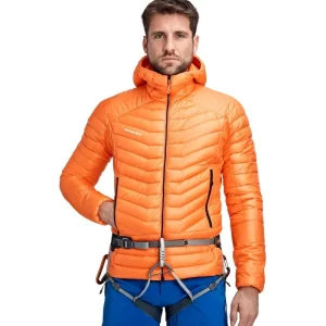 Meilleure vente 👏 Mammut Eigerjoch Advanced IN Hooded Jacketnew – Doudoune homme 😀 boutique 20