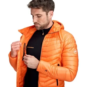 Meilleure vente 👏 Mammut Eigerjoch Advanced IN Hooded Jacketnew – Doudoune homme 😀 boutique 24